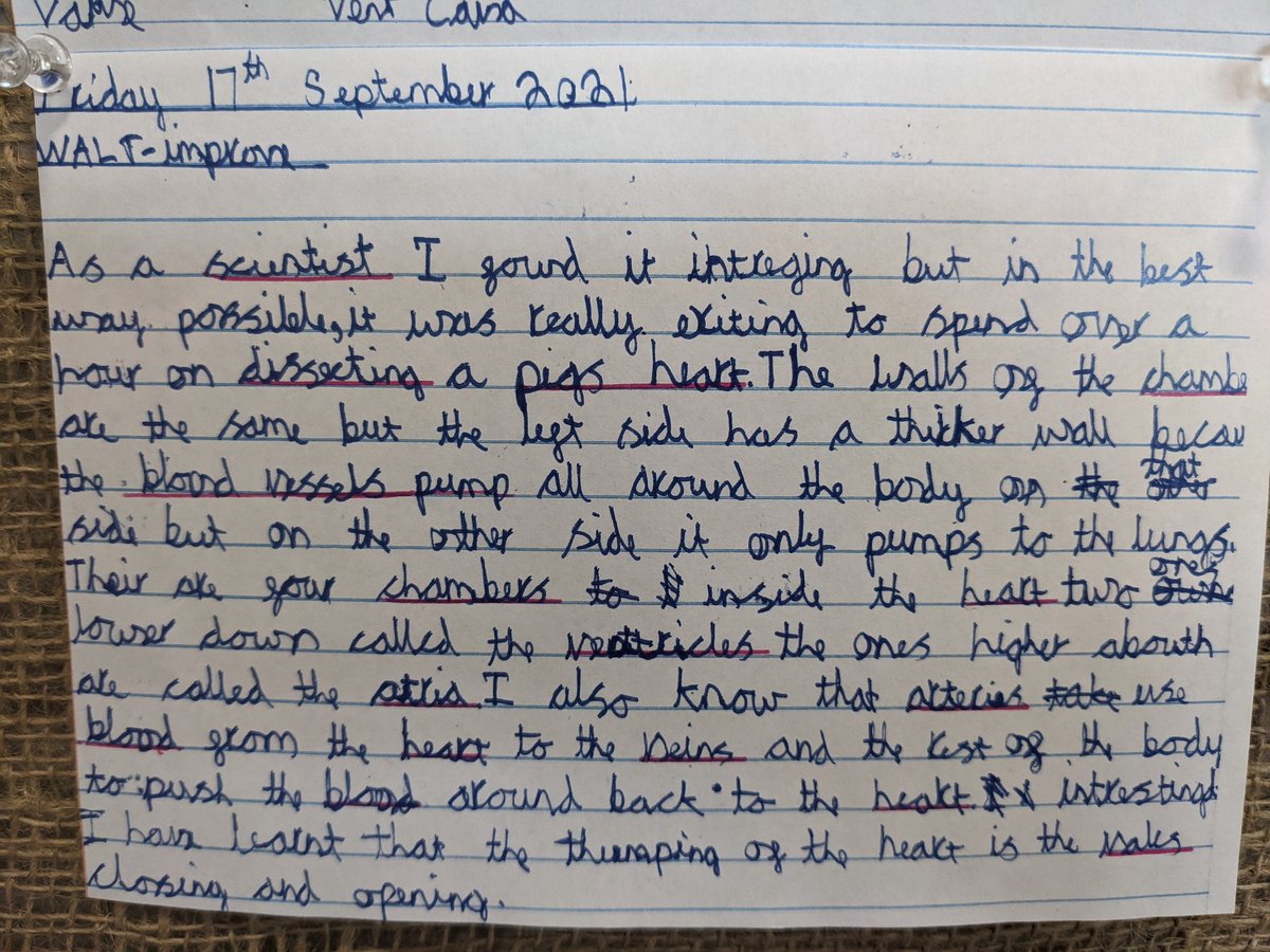 Beth Manning tweet media