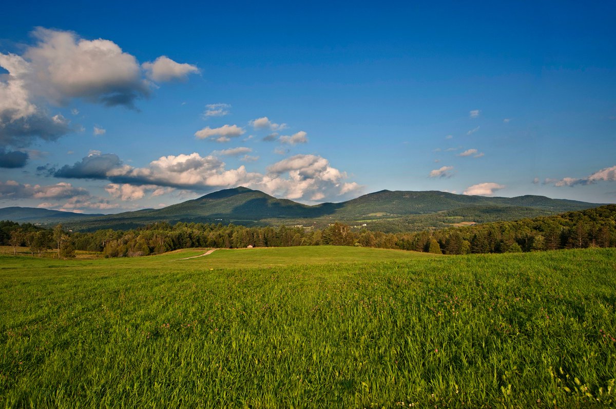 The first weekly Fall Foliage Report of the season is here.  How will the summer impact this season's colors and where should you head once you get here?  Find out: mailchi.mp/vermontvacatio…