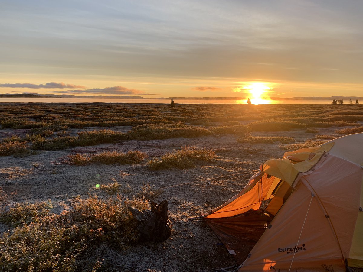 Canadian Space Agency tweet media