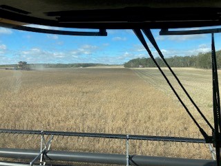 Bourgault Industries (@bourgaultag) on Twitter photo The Bourgault Agronomy team completed #Harvest2021 by finishing up with the canola, including the canola trials. Watch our website this winter for the results! <a href="/BourgaultAg/">Bourgault Industries</a> <a href="/deGronomist/">Curtis de Gooijer</a> <a href="/vodkatarian/">Jeff Strukoff</a> The Bourgault Agronomy team completed #Harvest2021 by finishing up with the canola, including the canola trials. Watch our website this winter for the results! <a href="/BourgaultAg/">Bourgault Industries</a> <a href="/deGronomist/">Curtis de Gooijer</a> <a href="/vodkatarian/">Jeff Strukoff</a>