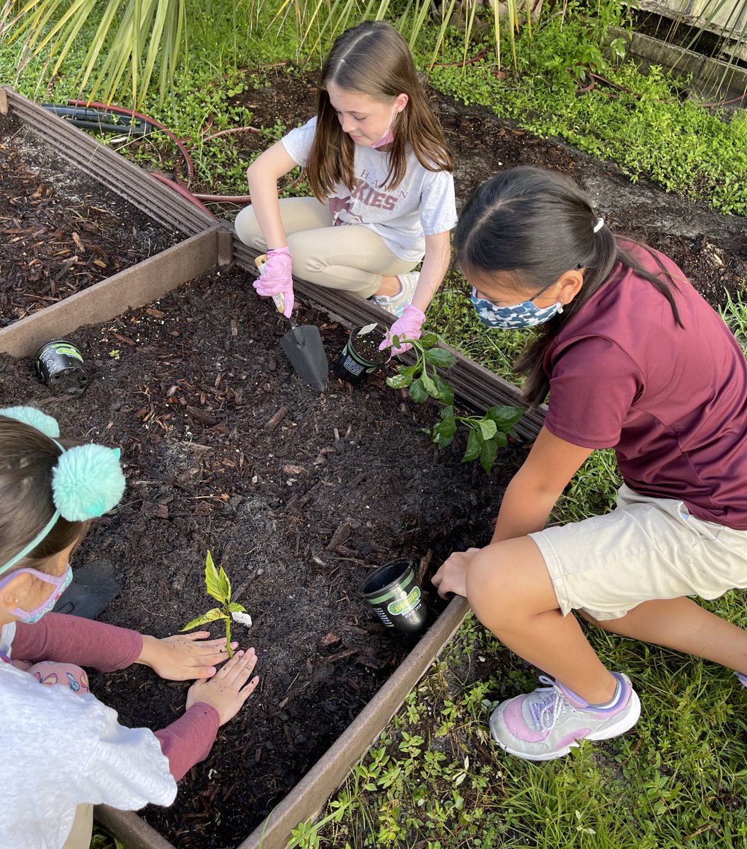 potter_252's tweet image. It’s a happy FriYAY at @IvyHawnSuhr when we get to plant in the garden!  Thankful for my amazing 4th &amp;amp; 5th graders who are willing to get their hands dirty getting our Fall garden ready.  #plantingseedsofknowledge #ivyhawnstrong