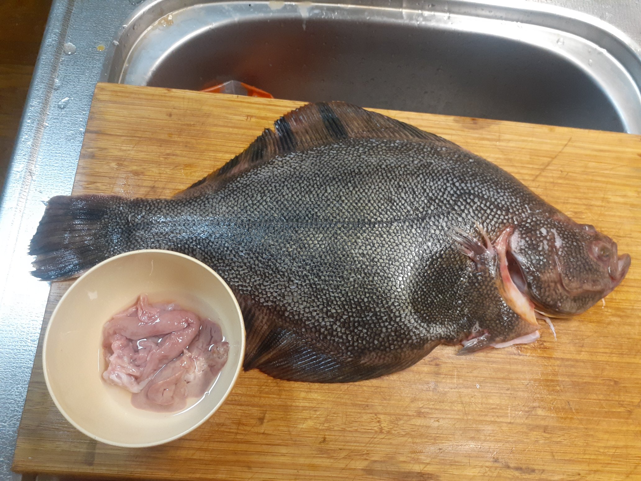 くぼす マツカワカレイ下処理完了 活〆だけあって 触感 内臓 血を見ても鮮度が良さそう 鮮度がいいので 寝かせよう 泉銀 マツカワカレイ T Co Zwepmo4ytw Twitter