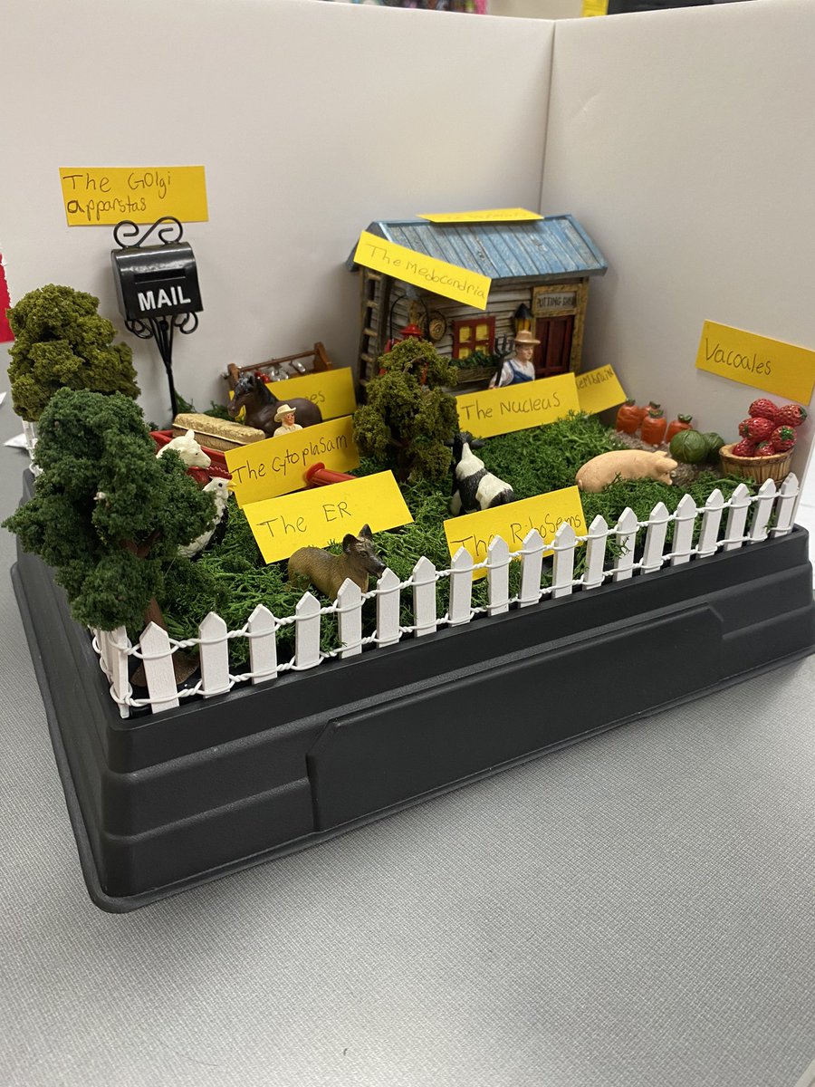 “Cell City” Organelle Projects 😍💕 <a href="/HumbleISD_WMS/">Woodcreek Middle</a> #BeEliteWMS