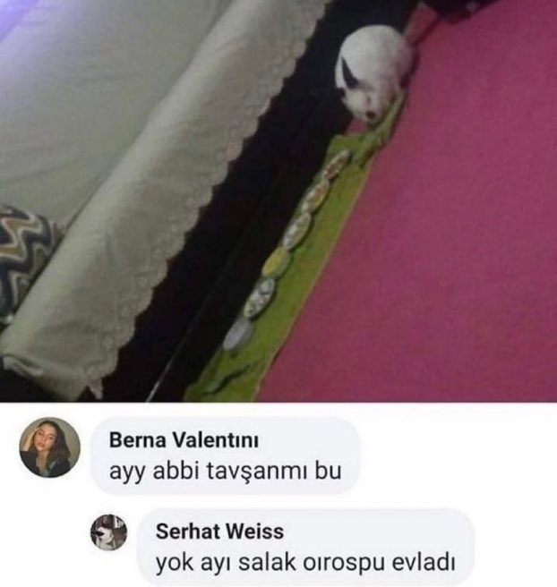 benim sinir seviyesi