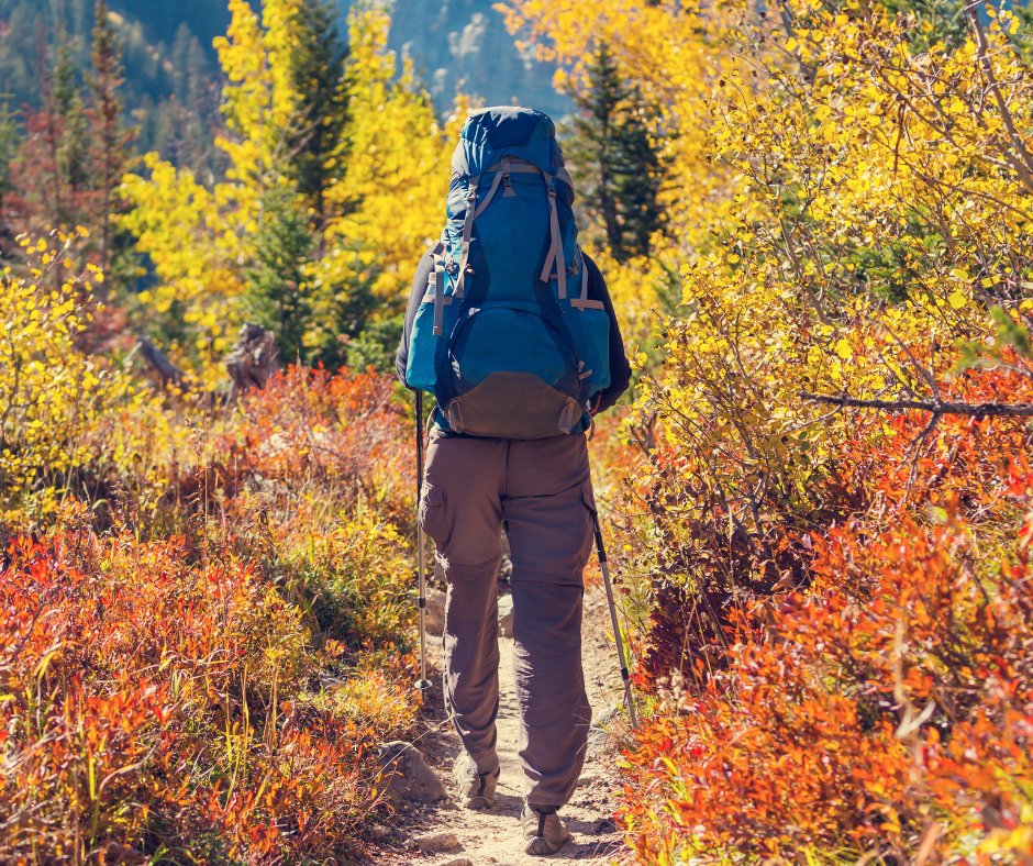 Amerigel's tweet photo. Did you know that cooler weather tends to dry out your skin more, leaving it more susceptible to rubbing &amp; chafing? Make sure you grab a bottle of AMERIGEL Barrier Lotion to protect your skin so you can continue on the hike! #getoutdoors #hiking #chaffing

https://t.co/F8GR5y5zWN https://t.co/hOx5Is3zd5