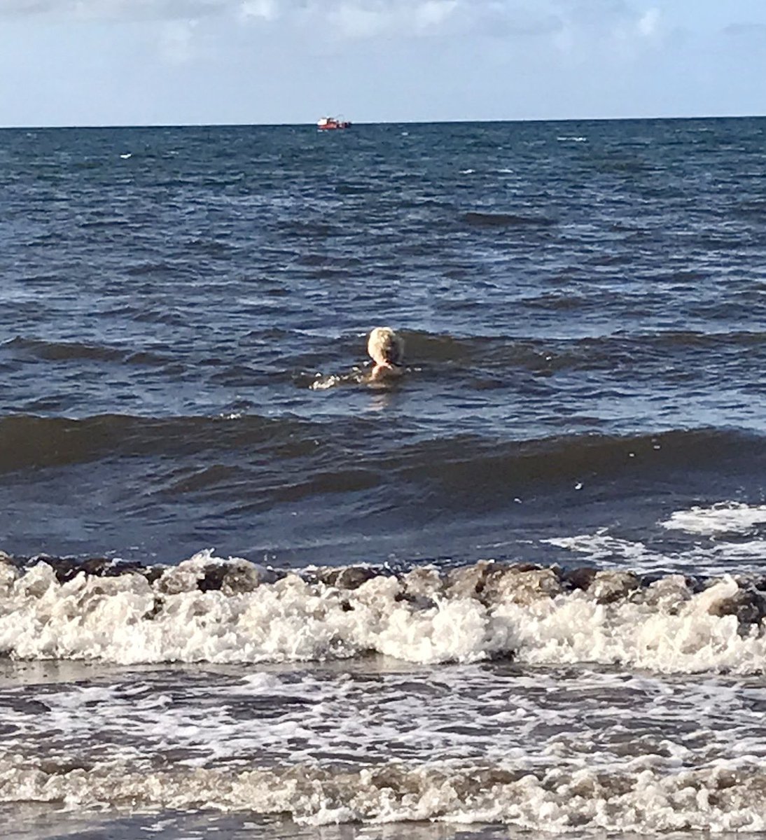 MariaCanEmb's tweet image. First day of @TheKerryCamino completed. A wonderful day walking from Tralee to Camp in beautiful #Kerry #LoveIreland ☘️💚