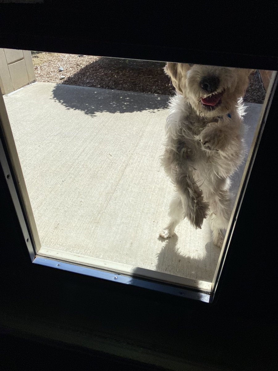 Kim Hazel Rudden tweet media