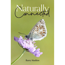 Four all new reviews fatbirder.com