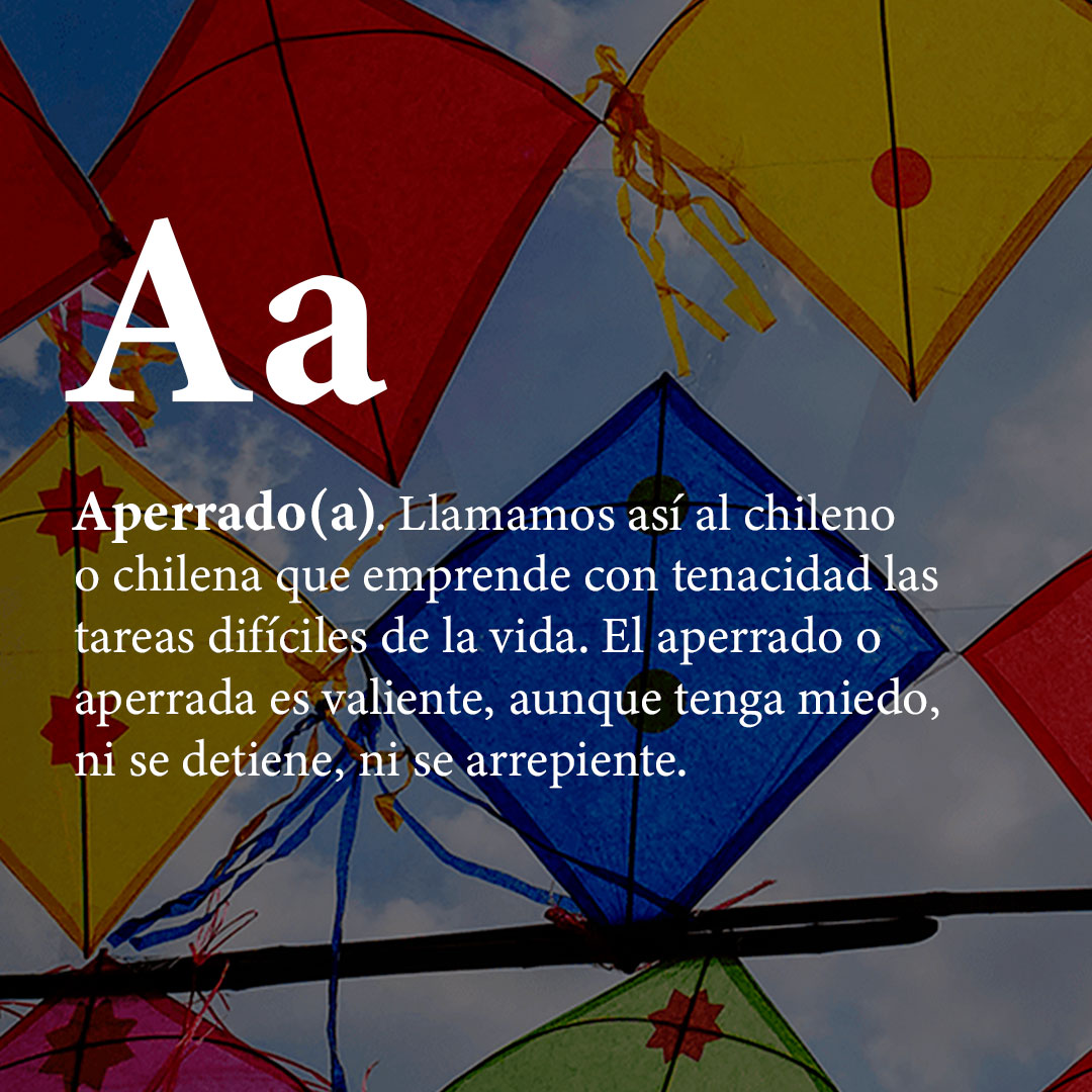 basepublica's tweet photo. #Silabario | Yunta, aperrado, se moja el potito 👌Estas son algunas características de un buen chileno 🇨🇱 , ¿cuál crees que falta?🥳
#FiestasPatrias https://t.co/OrAxvfRdwj