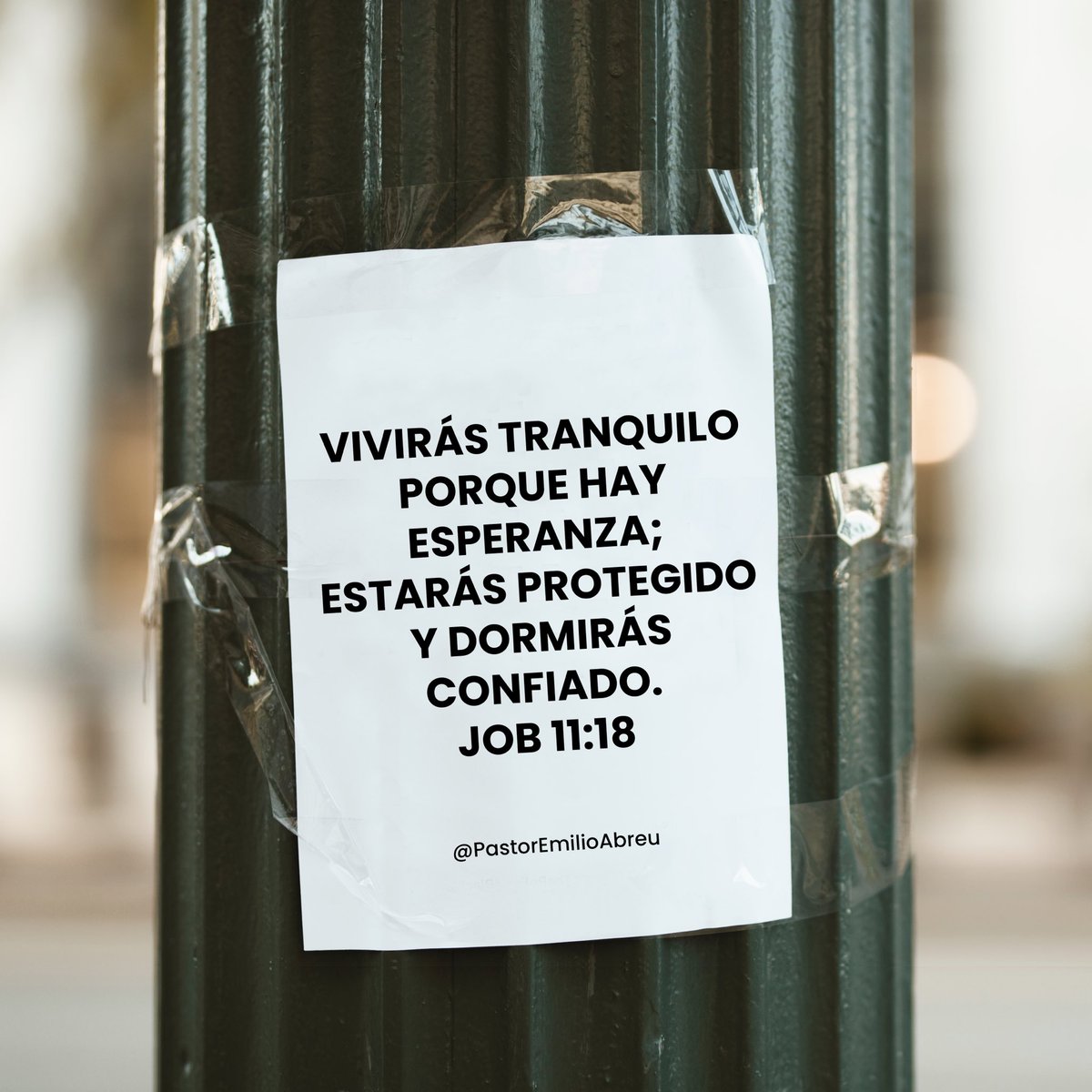Vivirás tranquilo
porque hay
esperanza;
estarás protegido
y dormirás
confiado.
Job 11:18