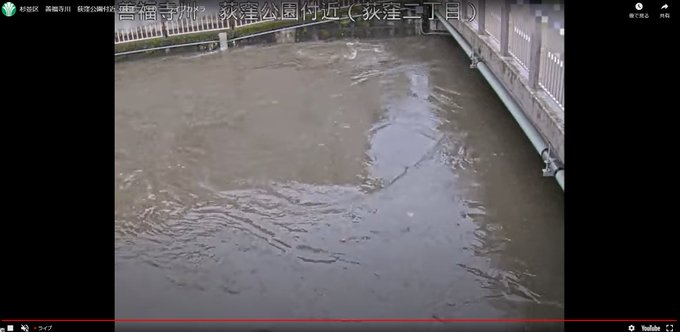 台風14号 杉並区 善福寺川が氾濫危険水位超える だいぶ水量増えてて溢れそう 現地の画像まとめ まとめダネ