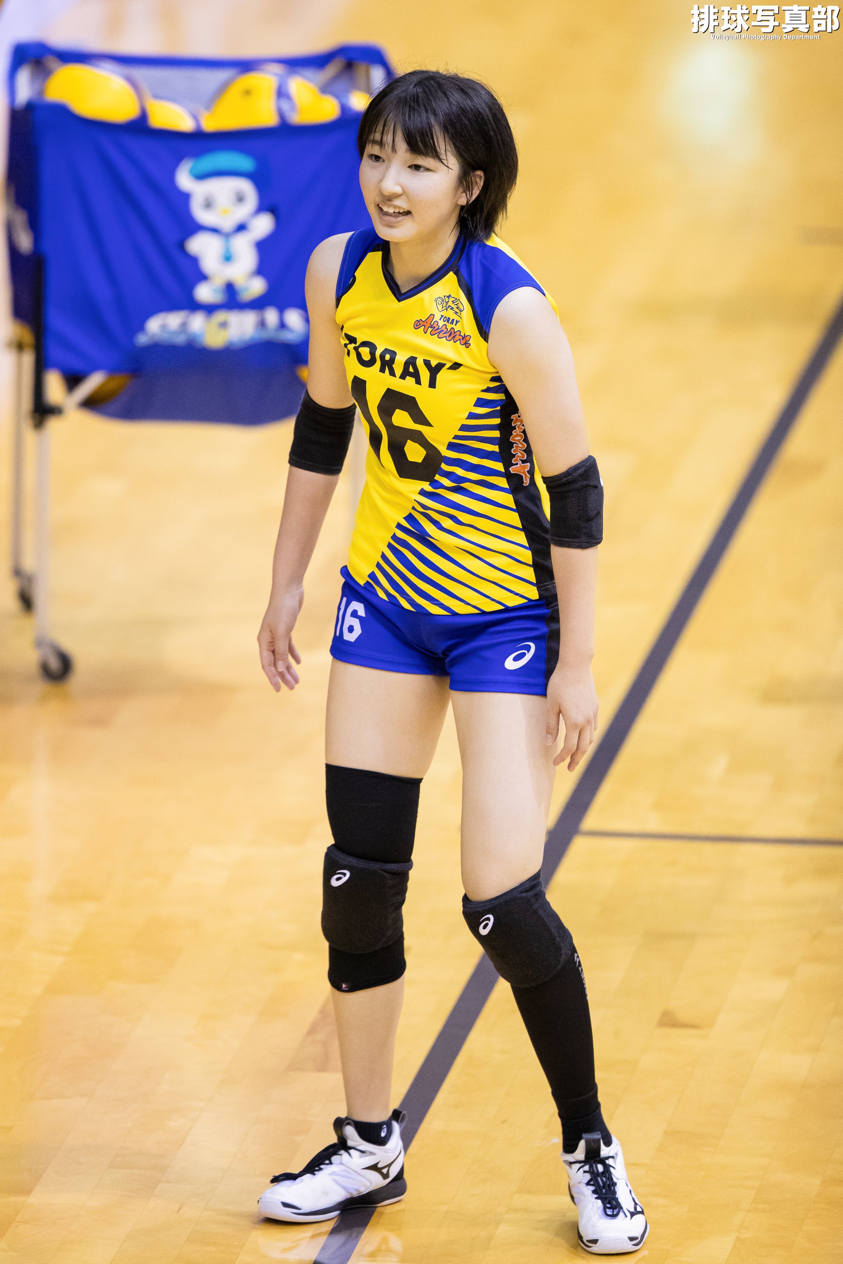 vリーグ サインボール 西川吉野選手 古川選手他(排球写真部 on vリーグ サインボール 西川吉野選手 古川選手他(排球写真部 on
