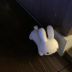 たびのツイート画像