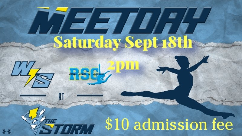 Willow Spring Gymnastics tweet media