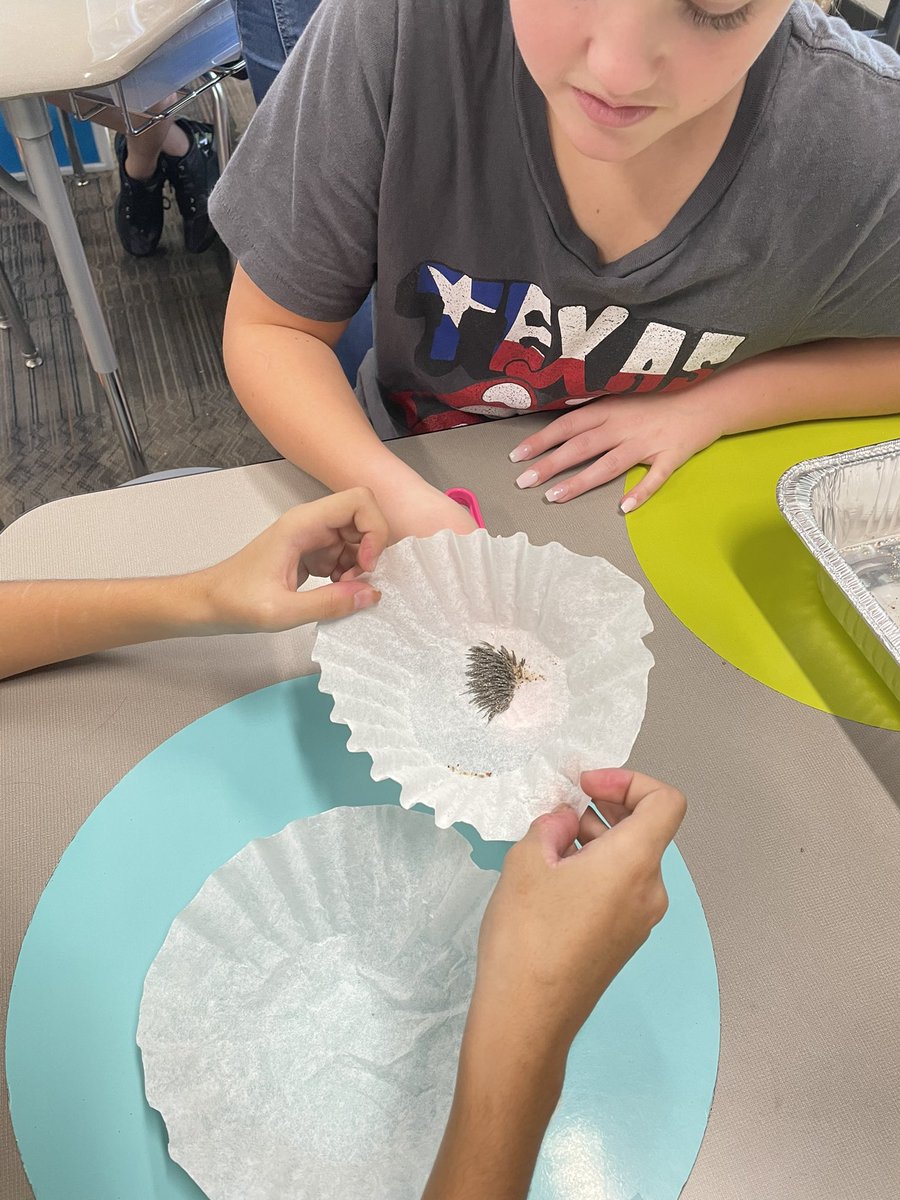 Ginger Landes tweet media