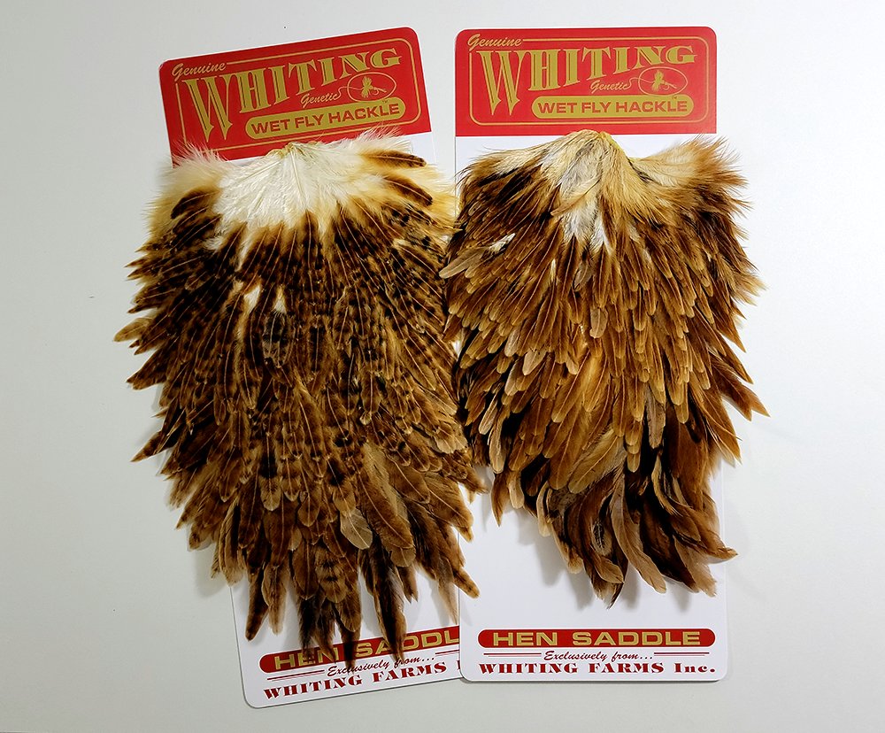 FarmsWhiting's tweet image. Brown Hen Saddles are great for Soft Hackles and Streamers. Visit your Local Fly Shop. 
:
#flytying #softhackles #tyingstreamers #flyfishing #tyingnymphs #troutflies #whitingfarms #feathers #flytyingfeathers