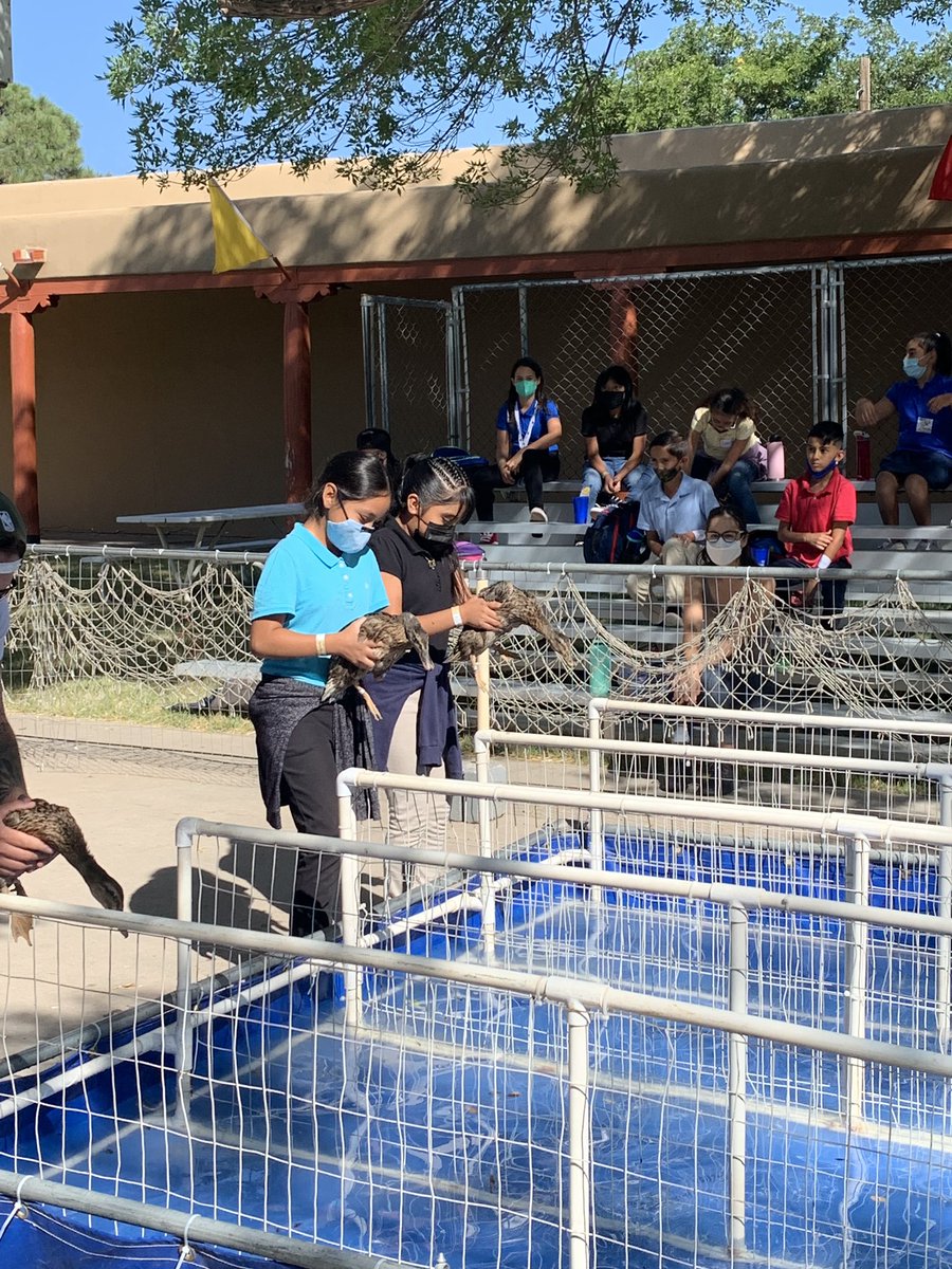 DGESTigers's tweet photo. Our fourth and fifth graders had a wonderful time at the fair today! 

“Chin up, Chin up! Everybody loves a happy face.” -Charlotte’s Web #DGES #DGTigers #charlottesweb #FairDay #ExpoNM #StateFair #STEMDay @ABQschools @APSLZ1 https://t.co/RiimzPNjAV