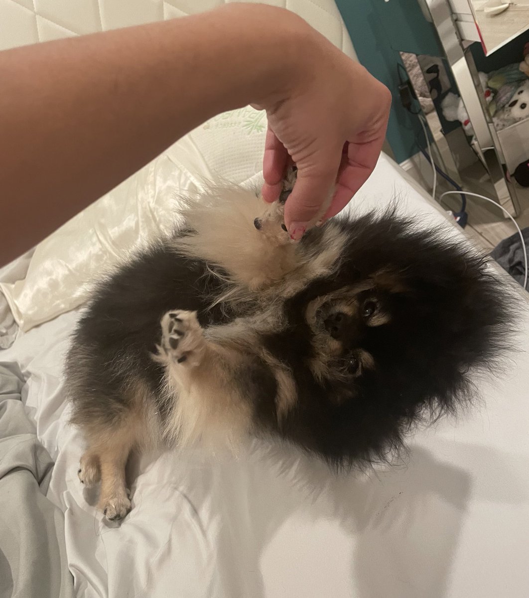 Morning stretches🥰