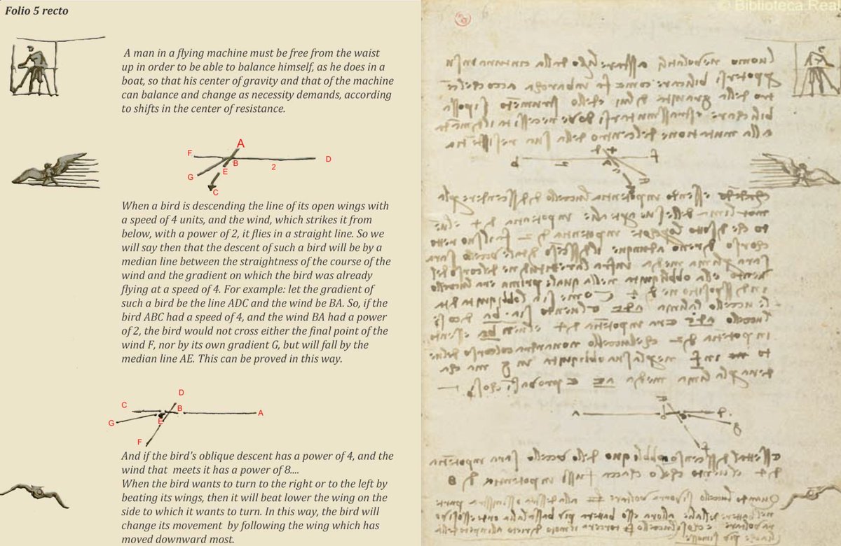 Part 2 of <a href="/_mlechha/">Tosif Ahamed</a>'s #TwitterTakever of <a href="/zhenlab_Toronto/">zhenlab</a>. As promised, here's a first thread about the history of the science of animal movement. 1/n