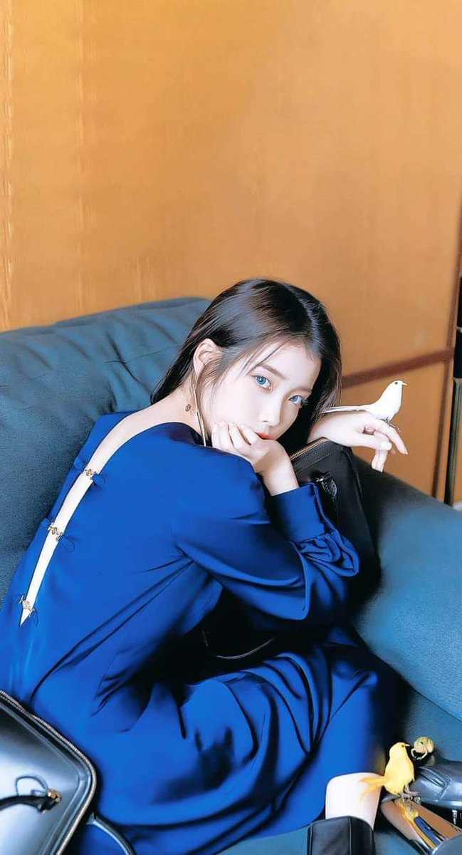 Cattming09's tweet photo. HAPPY IU 13th Anniversary🎉

#IU #아이유
#IU_13th_Anniversary
#IU_13th_UAENA
#13YearsWithIU #IUwithUAENA
#유애나는_13년째_그렇다

love love love 💜 https://t.co/4AJplSiA04