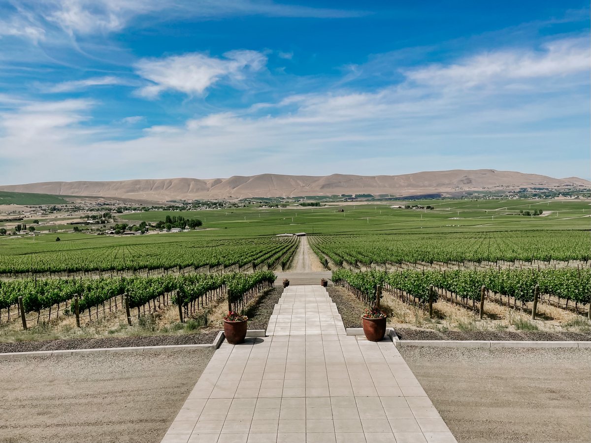 colsolare's tweet photo. Our favorite weekend views 🍷 tag a friend you’d like to share these with! https://t.co/qx422w8sdo