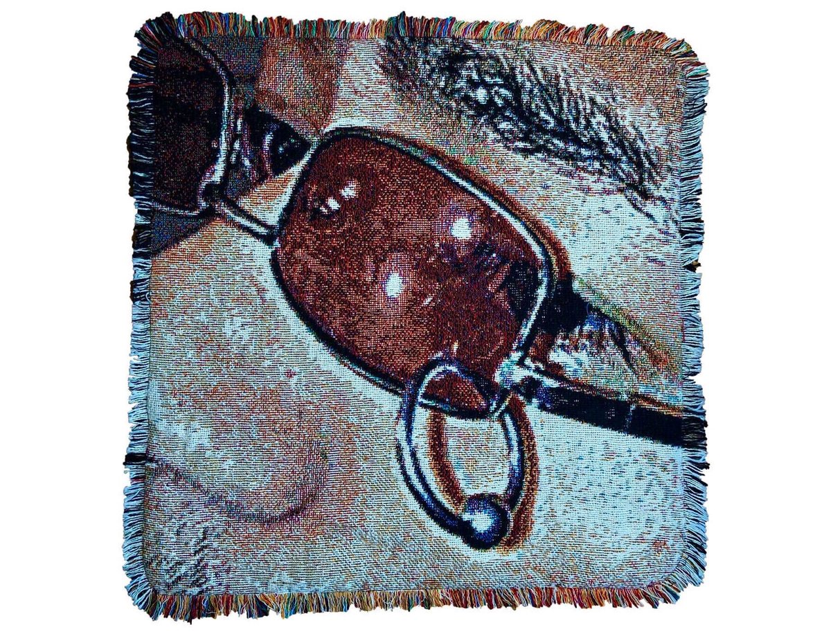 ✧ tweet media