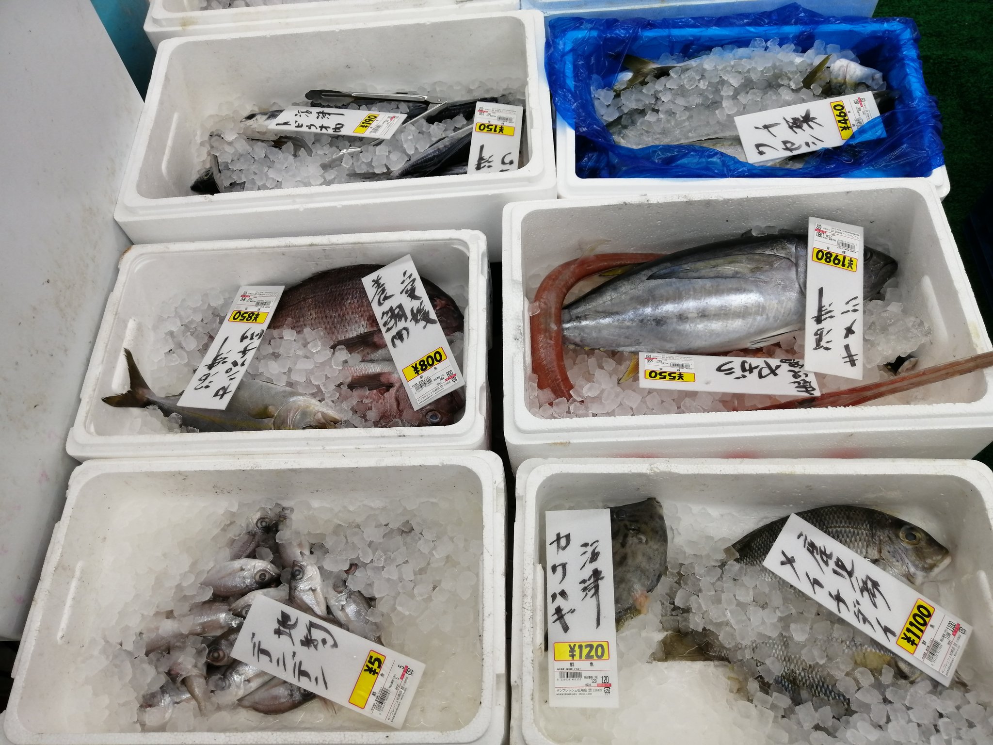 U1 T 今日のビックリどっきりスーパー速報 今日も価格崩壊 メイチダイは高級魚を確信 T Co 19w0jtzmgy Twitter
