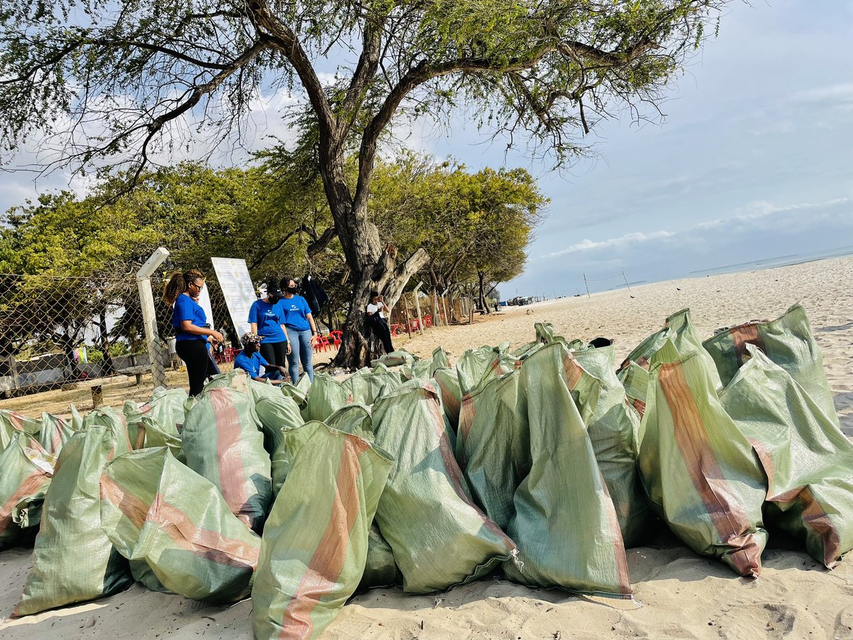 Ongoing now…… KAWE BEACH Let’s join hands to #beatplasticpollution. 
.
WORLD CLEAN UP DAY 2021
.
#BeatPollution
#EndSingleUsePlastic
#PlasticRevolution
#PlasticFreeTZ #wcd2021 
#PlastikiYakoMazingiraYetu

@globalpeacetz @GPWTanzania @Ecct_org @NipeFagio