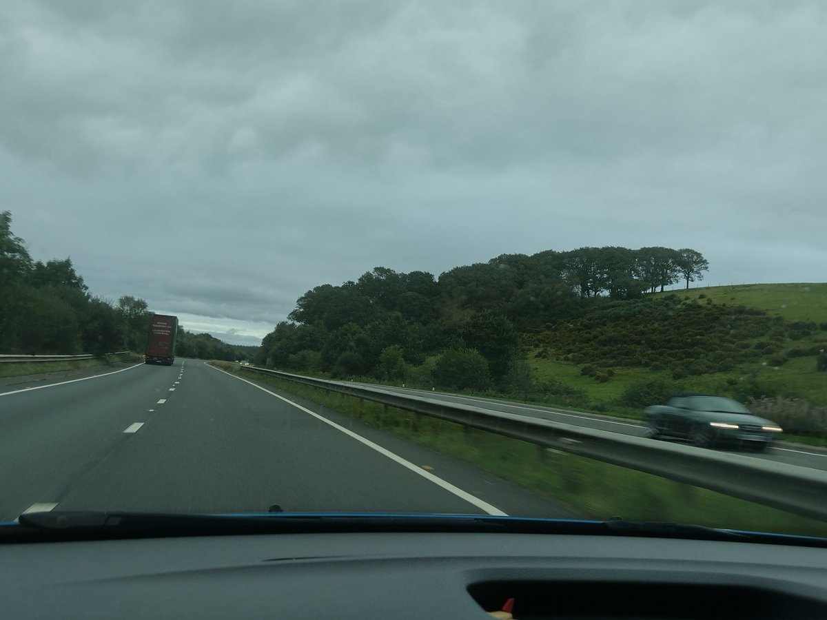 The coming home trees look so different when you're driving in the opposite direction #nearlyhome #nearlythere #cominghome #Cornwall