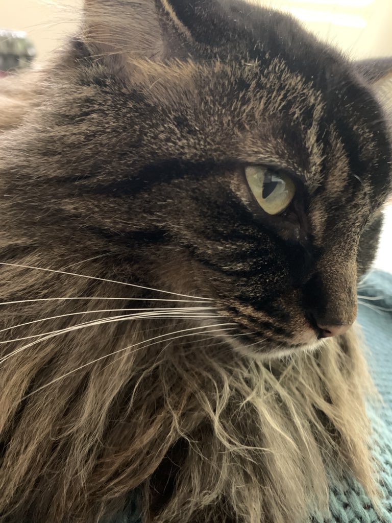 Kasia Davis, PhD tweet media