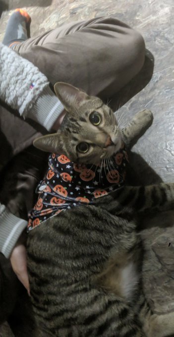 Watch Meggii ❤️'s leaked NSFW photo on TwXstars