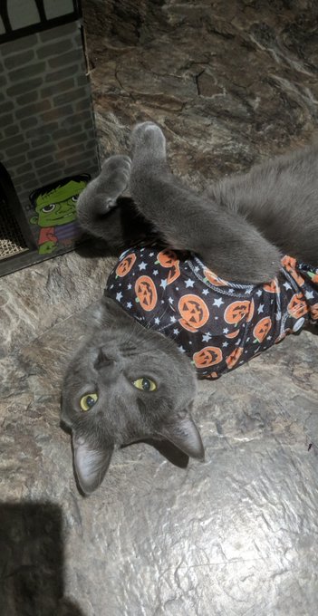 Watch Meggii ❤️'s leaked NSFW photo on TwXstars