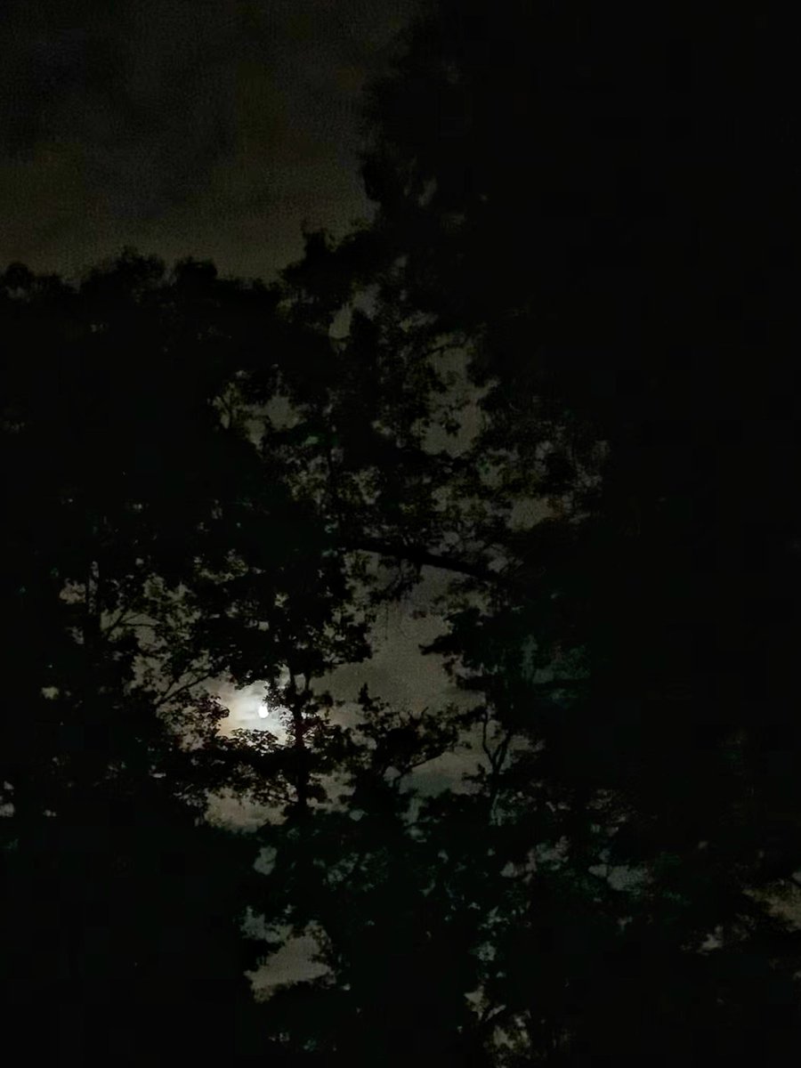 SaveChurchRoad's tweet photo. Friday night lights. https://t.co/FNkk3wPJbk