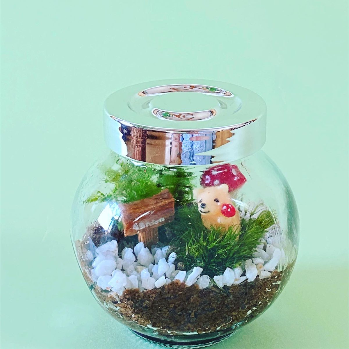 mossymossyjapan's tweet photo. 明日9/19(日)新潟市の#いくとぴあ にて「苔で作る動物園」というワークショップを開催します。#苔テラリウム は横山恵里子さん、私は苔の寄せ植え担当です。お近くの方はぜひ遊びに来てください😀Moss terrarium and planting #moss #workshop tomorrow 9.19 at #Ikutopia in Niigata city.
#新潟 https://t.co/oZ2URYlvnz