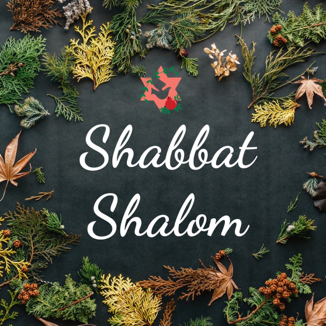 templesholomsis's tweet photo. #ShabbatShalom - Stay warm and dry this #Shabbos https://t.co/GnoXITZHRF