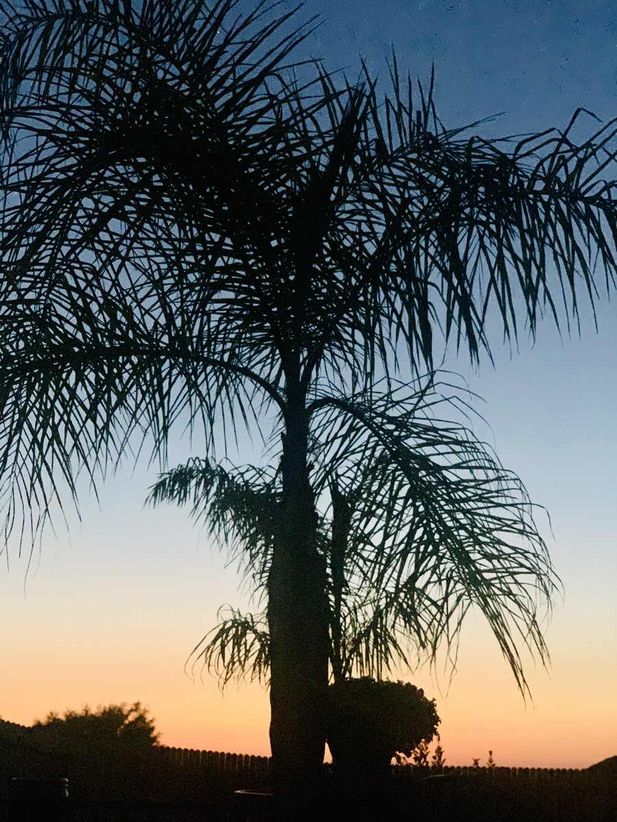 jason_scalese's tweet image. Another lovely night in El Dorado County.  Nice to see clean sunsets again.  Praise the firefighters who kept all safe. #calderfire