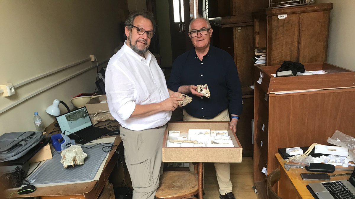 Lorenzo Rook tweet media