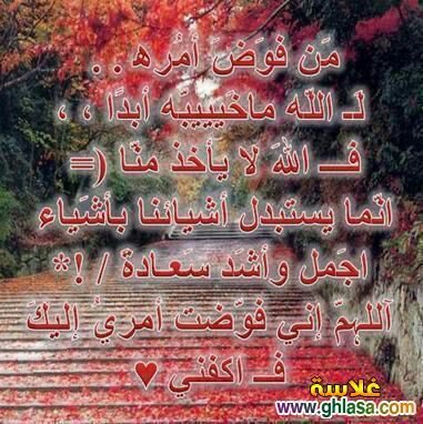 umuthman2's tweet photo. https://t.co/LKeEOjb5LM