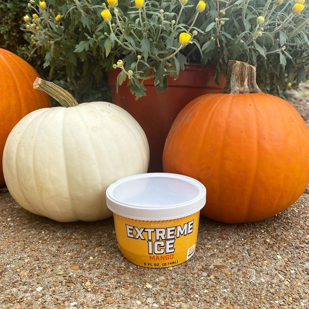 eatextremeice's tweet photo. We’re excited about the changing of seasons and eating Extreme Ice in cooler temperatures! 🍂🍁😋 

.
.
.
#protein #whey #wheyprotein #healthyfood #healthychoices #extreme #fitfood #postworkoutsnack #fruit #healthyicecream #extremeice #instadesserts #proteinsnack #proteinicecream https://t.co/q7MoUnnNlb
