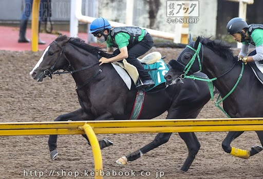 競馬ブック 自由帳 日曜中京の５ｒの新馬戦に出走予定のソクラテスです 兄は昨年の菊花賞で三冠馬コントレイルと接戦を演じたアリストテレスです お兄さんと同じ 哲学者の名前です この時代まで名を残すソクラテス こちらものちのちまで語られる