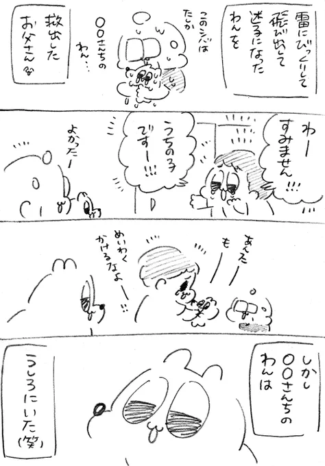 迷子のいっぬを助けたときの日記 