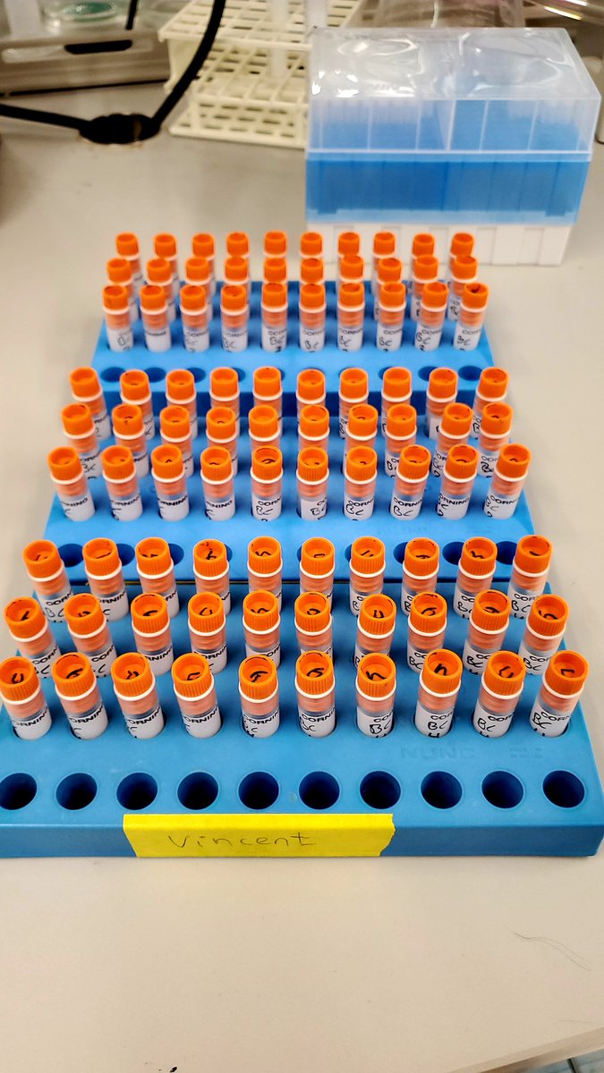 Long day in lab! But the tubes are filled and the orange caps remind everyone the tubes belong to the Dutch scientist.