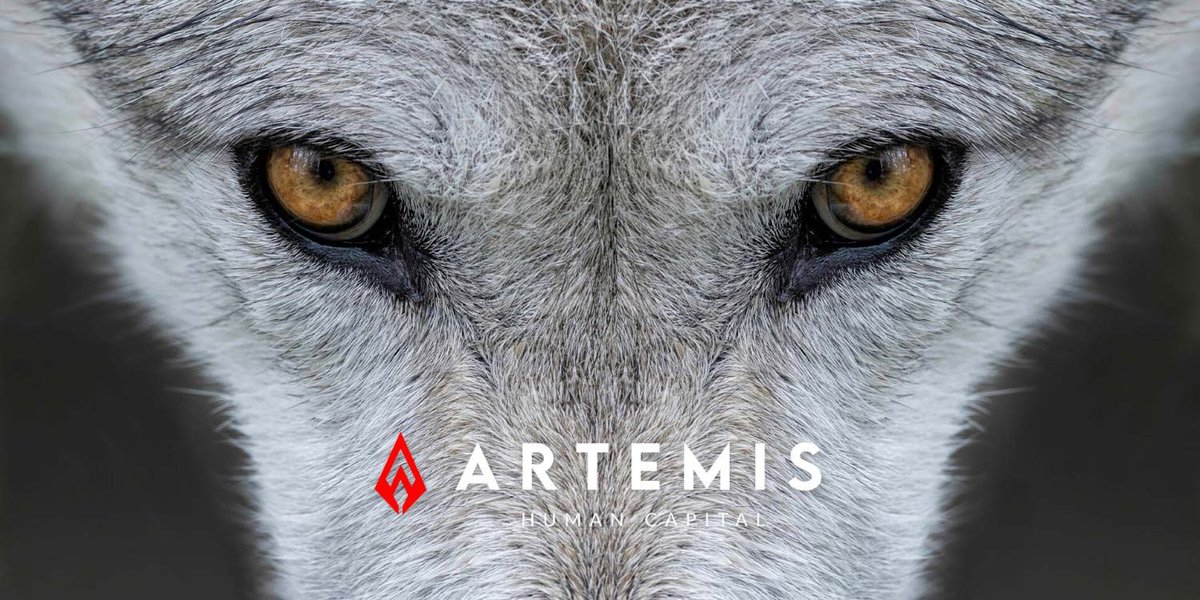 NEW ROLE! Apply now: Real Estate Solicitor / Director (buff.ly/3loOI8h)