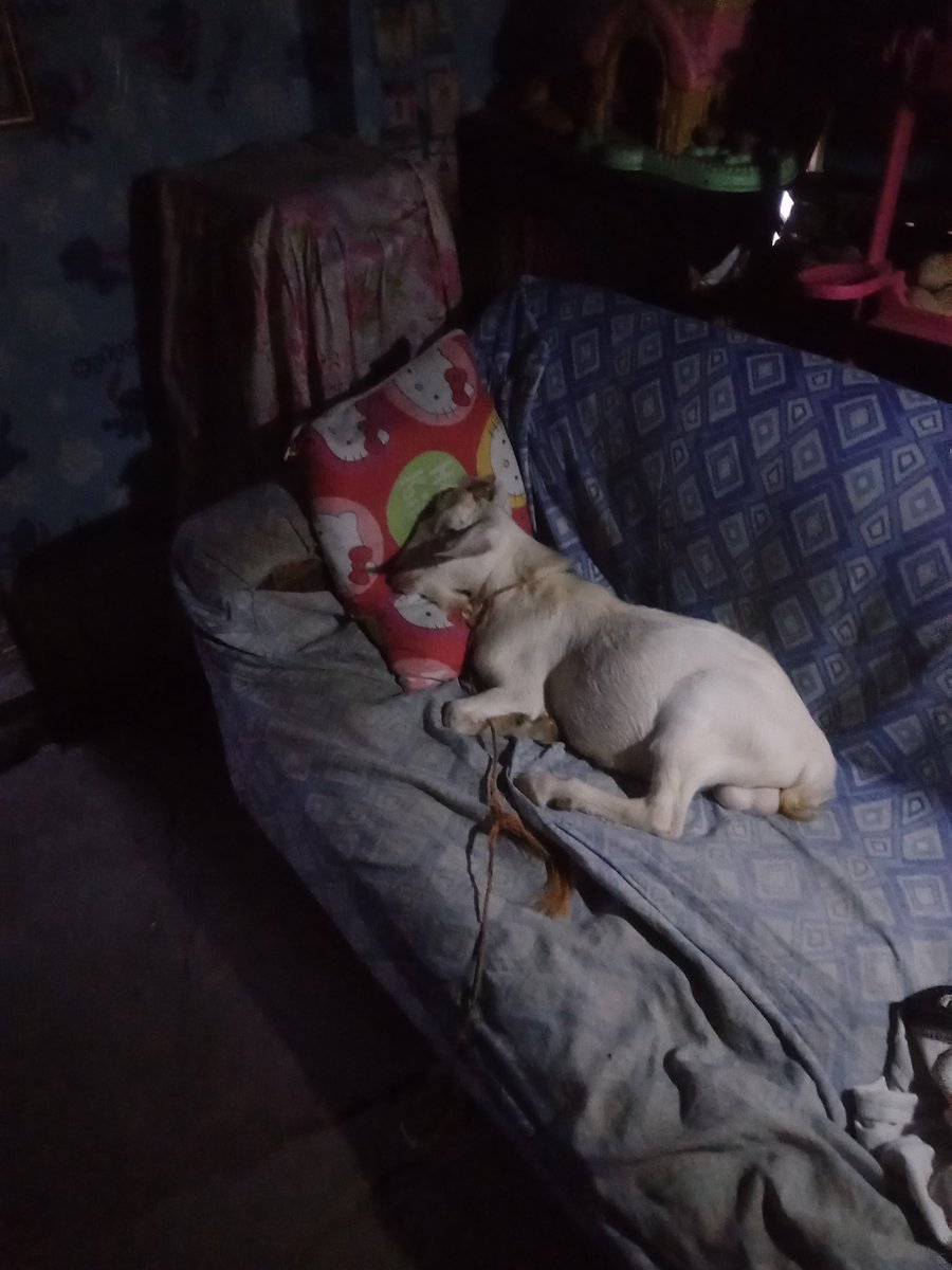 GabuyaReynalyn's tweet photo. The overload cuteness i have seen today. 
#Hesresting
#Dontwanttobedisturbaww😣 https://t.co/rtM6PFid1L