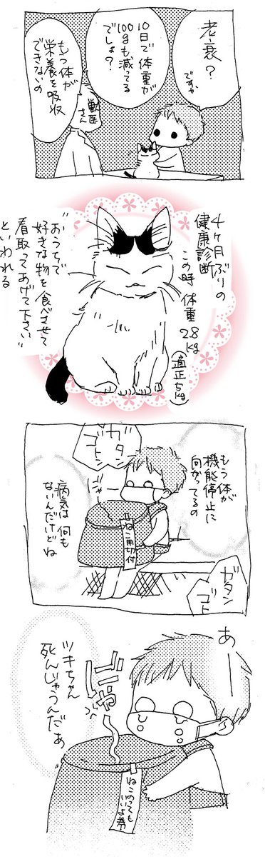 ねこの介護日記2
2021.4.2
#ねこ介護 