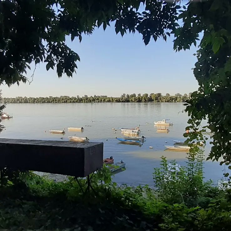 GoranBogicevic1's tweet photo. Dobro jutro #narodemoj lep #vikend #zelim #dunav #radecki https://t.co/ClL0k4q3kg