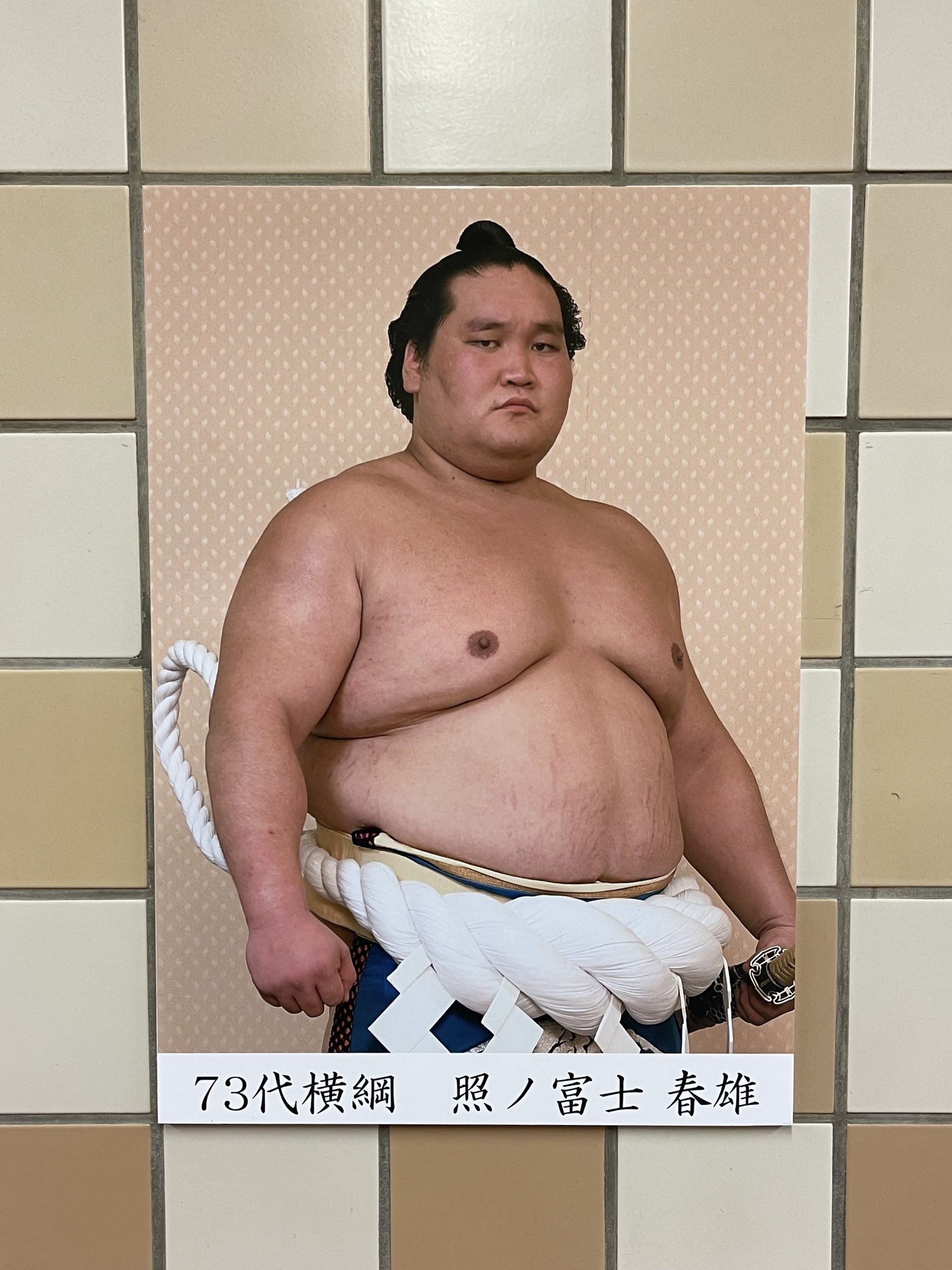 日本相撲協会公式 九月場所 前売券販売開始 บนทว ตเตอร 七日目の様子 1階向正面にある歴代横綱パネルには 今場所から新横綱照ノ富士も加わりました 初代の明石志賀之助からずらりと並んだ73名の歴代横綱をご覧ください Sumo 相撲 九月場所 秋場所