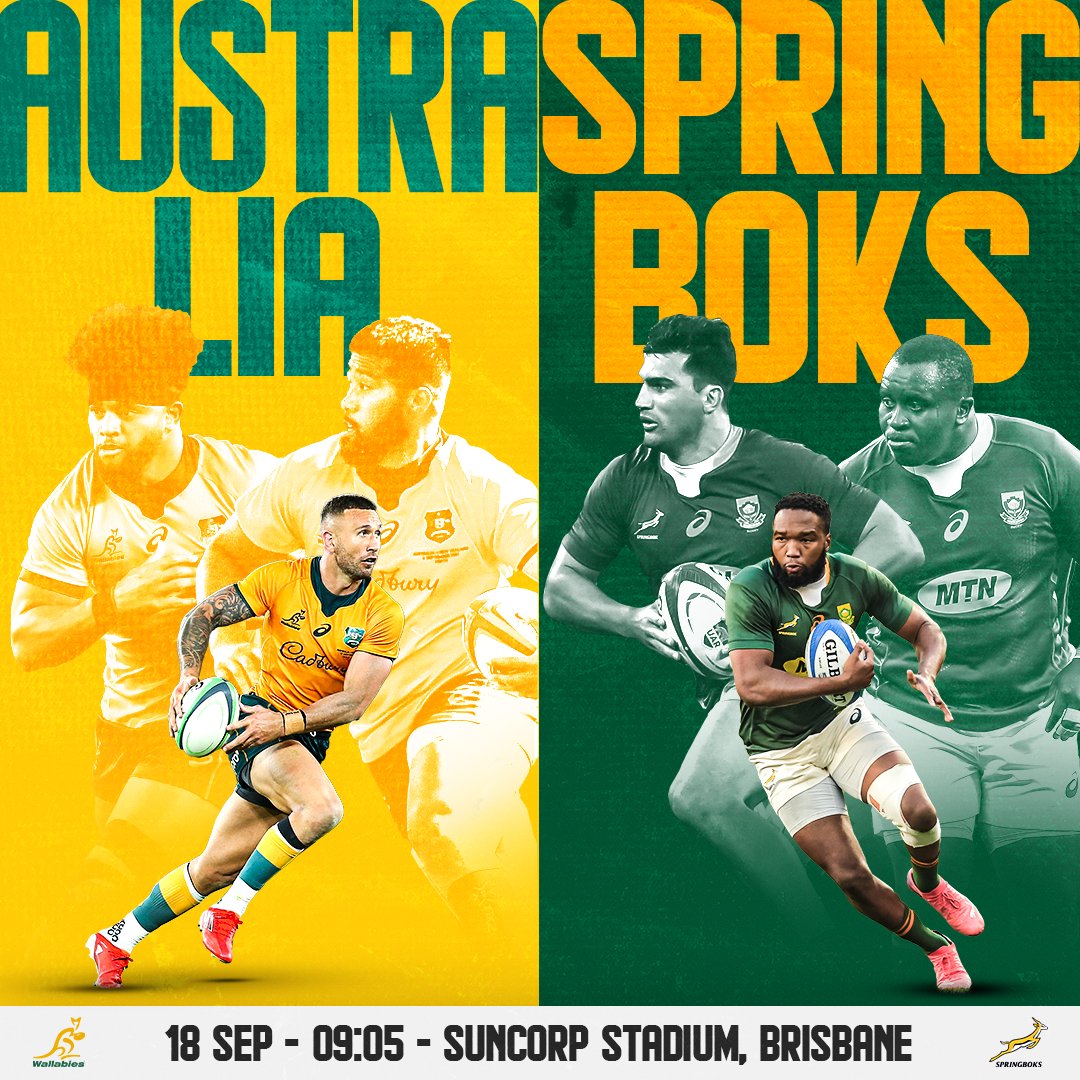 Springboks tweet media
