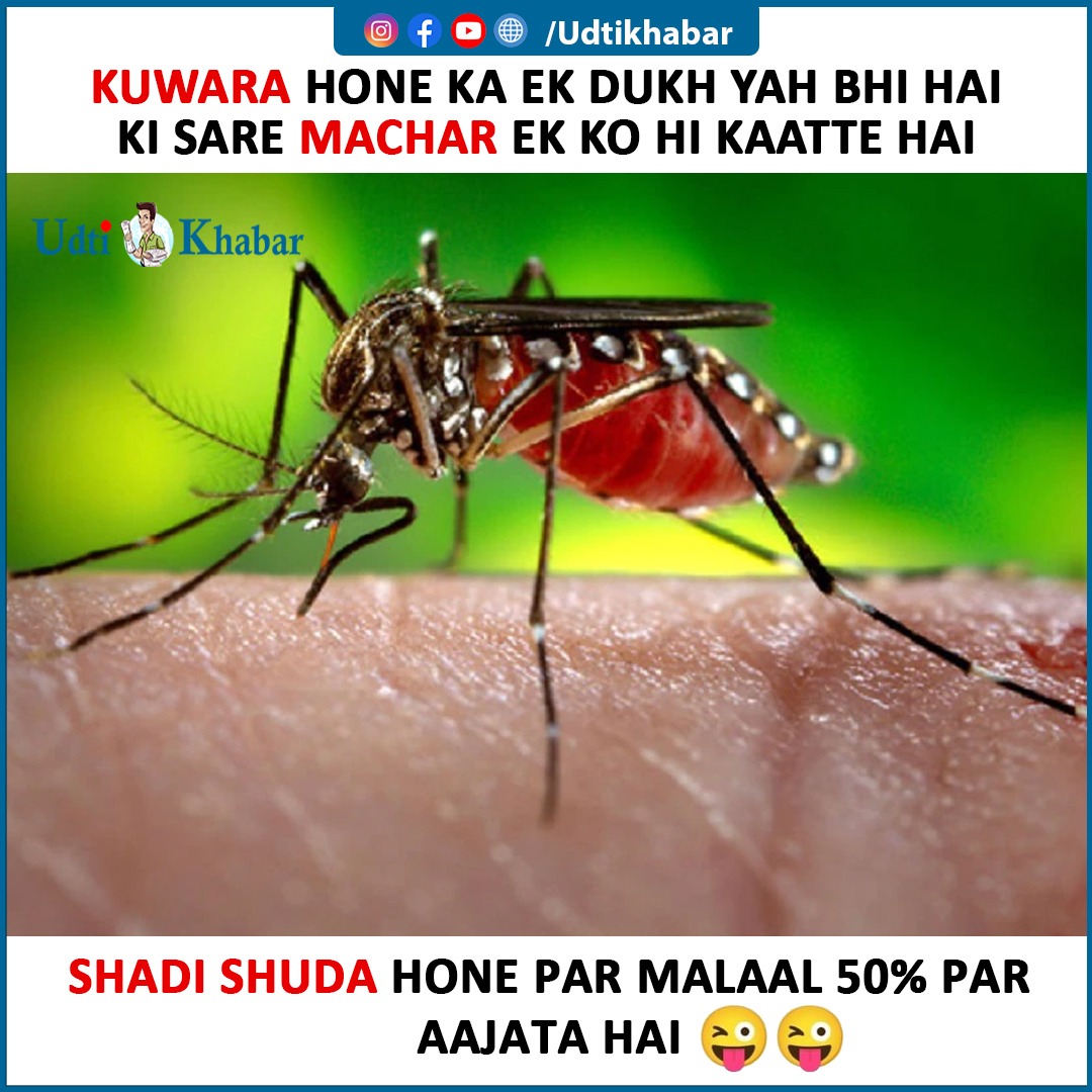 udtikhabarnews's tweet image. 50% malaal reh jata hai shaadi shuda hone par 🤣😂
#shaadishuda #malaal #machar #kuware #follow4followback #followforfollowback #jokes #meme #funny #comedy #masti #staysafe #udtikhabar