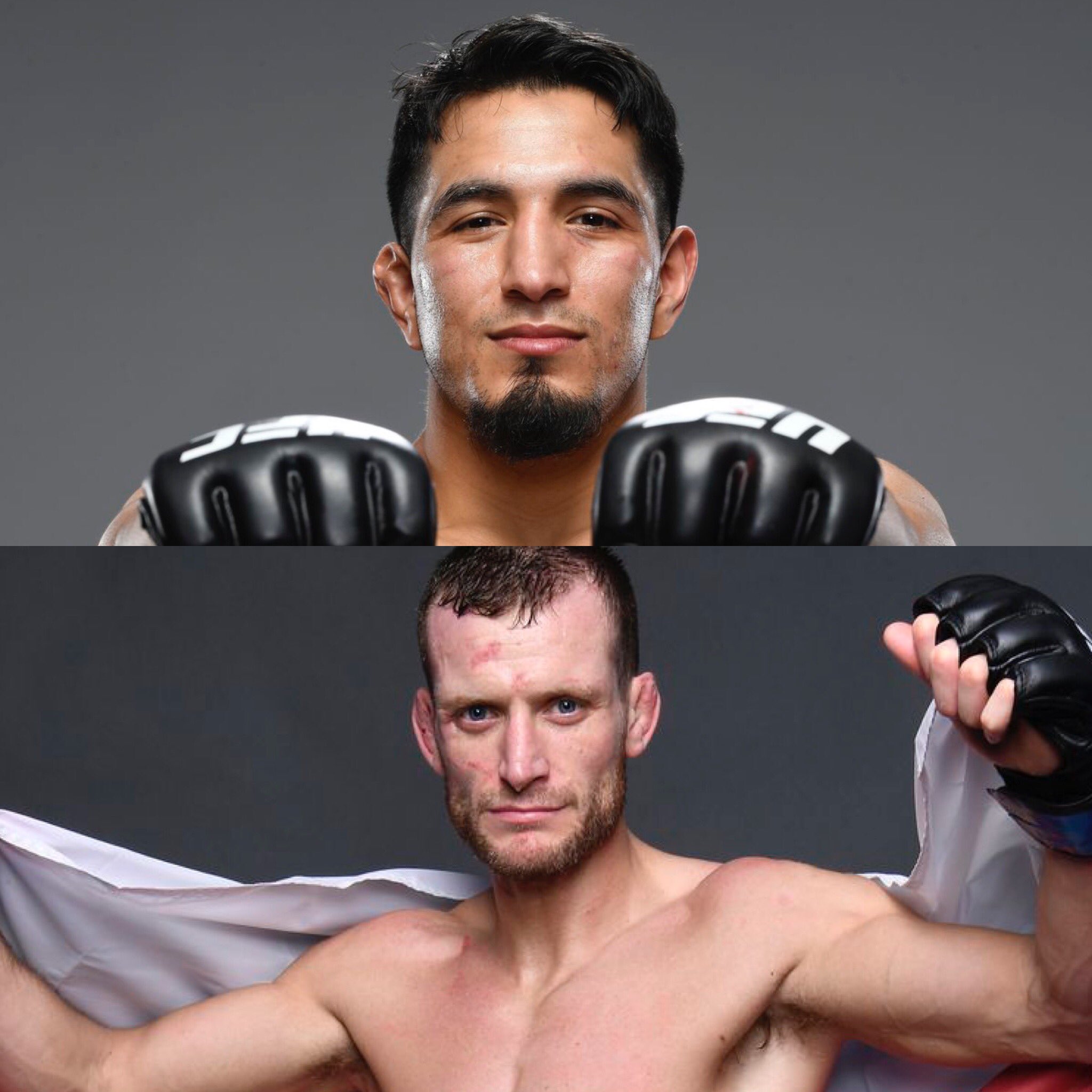 Ufc Twitter Search Twitter